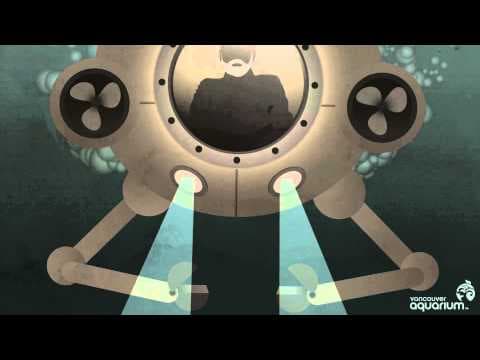 The Light Aquatic- How do animals glow.