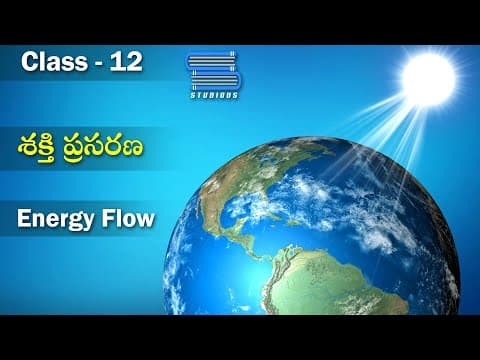 శక్తి ప్రసరణ – Energy Flow in Ecosystem | Ecosystem | Biology Telugu
