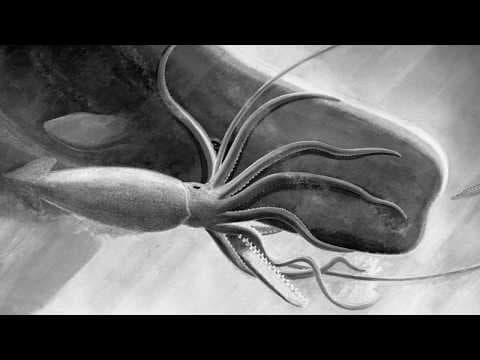The Squid and the Whale- Evidence for an Epic Encounter