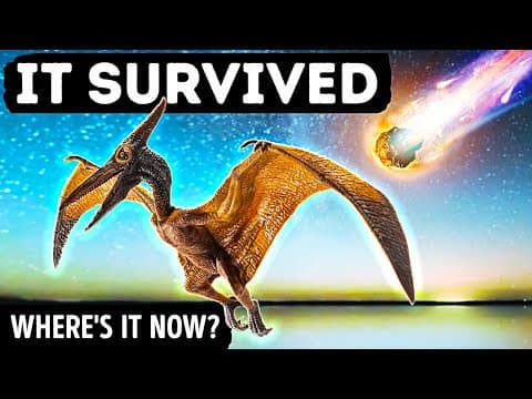 Flying Dinosaurs Survived, Here's Where They Are Gone