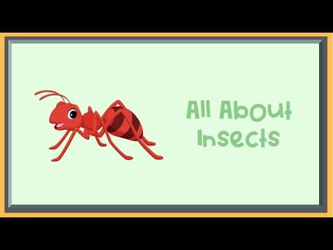 All About Insects