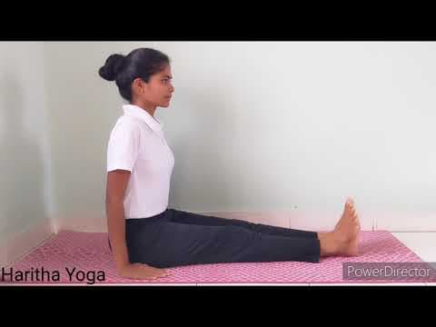 Yoga sukshma vyayama (leg joints)