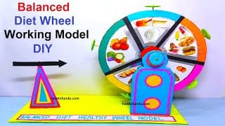 balanced diet working wheel model for healthy life science project