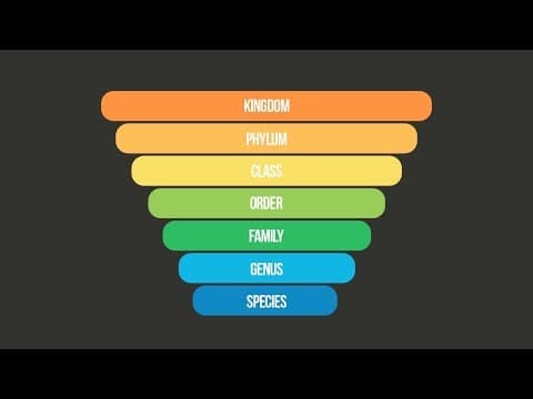 SCIENTIFIC CLASSIFICATION SONG (Taxonomy Song) | Science Music Video