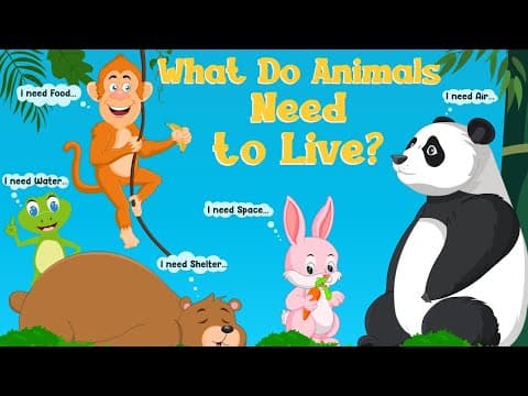 Basic Needs of Animals - What do Animals Need? - What Animals Need - Video for Kids #youtube