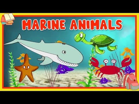 Learn About Marine Animals - Preschool Learning For Kids - Educational Video For Children