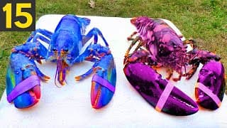 Most Epic Transport Operations of All Time