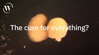 Biohacking our way to health