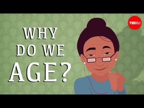 Why do our bodies age? - Monica Menesini - YouTube