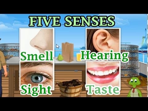 The 5 Senses: Sight, Hearing, Taste, Smell and Touch, Preschool and Kindergarten Activities
