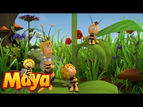 A Flower To Share - Maya the Bee - Episode 67
