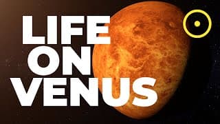 Did We Just Find Life on Venus