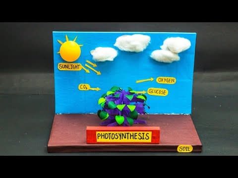 Biology Science Fair Projects