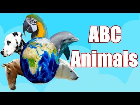 Learn Animals - animal in English