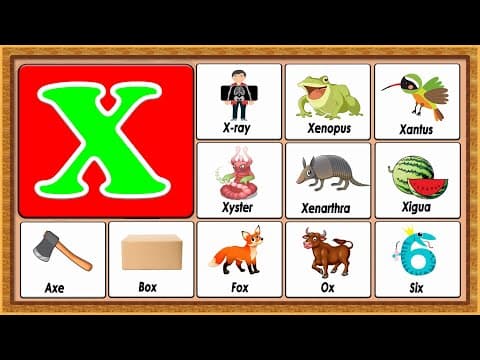 Words from x - vocabulary words - early childhood education - abc flashcards