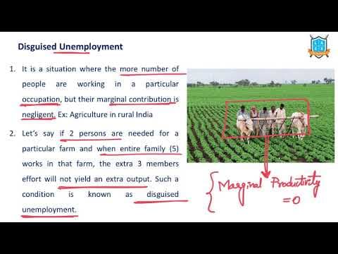 What is Disguised Unemployment ? || Disguised Unemployment అంటే ఏమిటి?