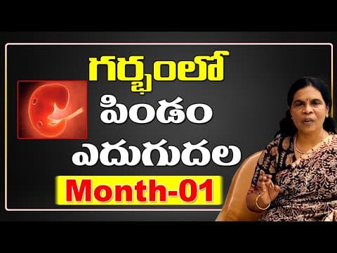 గర్భంలో పిండం ఎదుగుదల - dr rama devi in telugu - baby in womb - month-01 - fetus development