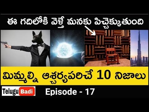 Episode 17 - amazing facts you didn't know - interesting facts
