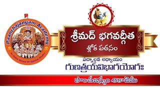అధ్యాయం 14 I గుణ త్రయ విభాగ యోగ: I Chapter 14 I Gunatraya Vibhaga Yoagam I Bhagavad Gita I Telugu