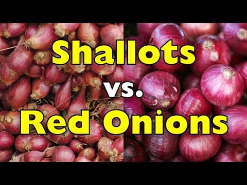 Shallots vs. Red Onions: What’s the Real Difference