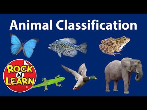 Animal Classification for Kids