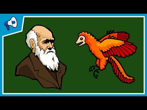 What is Evolution? - YouTube