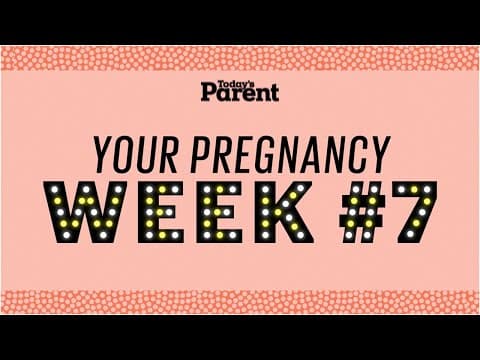 Your pregnancy: 7 weeks