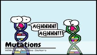 Mutations: The Potential Power of a Small Change