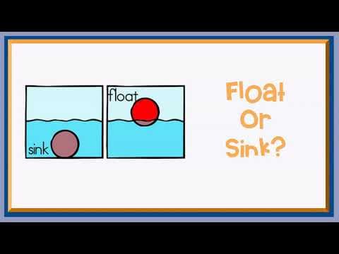 Float and Sink