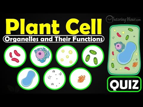 Plant Cell Organelles and Their Functions Quiz | Structure and Functions of Plant Cell Organelles