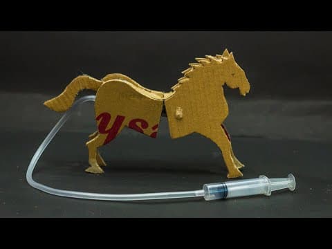 School Science Projects | Walking Horse