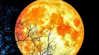 Blood Moon 2018 The Longest Total Lunar Eclipse Of The Century Will Take Place At The End Of July