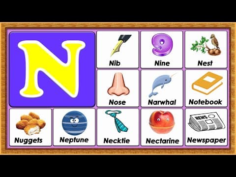 Words from n - vocabulary words - early childhood education - abc flashcards