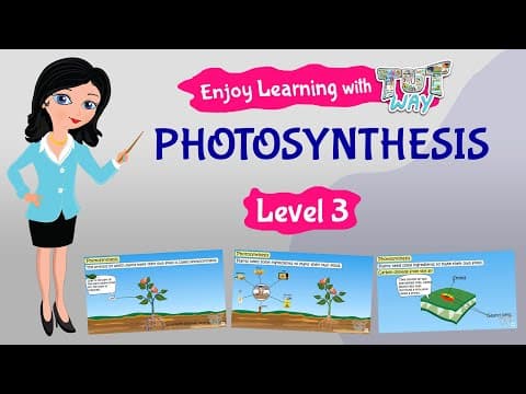 Photosynthesis For Kids | Science
