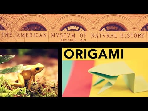 Fold an Origami Jumping Frog in 13 Easy Steps