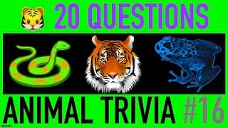 ANIMAL TRIVIA QUIZ | Animals General Knowledge Trivia Questions and Answers Challenge