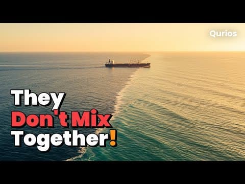 ATLANTIC vs PACIFIC: What REALLY Happens When Two Oceans COLLIDE