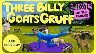 Yoga With Goats! 3 Billy Goats Gruff