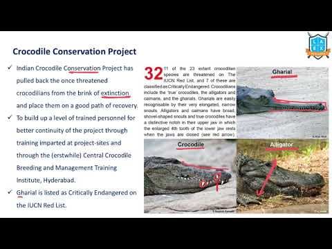 What is Crocodile Conservation Project? |Crocodile Conservation Project అంటే ఏమిటి?