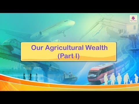 Our Agricultural Wealth | Marvel Semester Series Social Studies Grade 4 | Periwinkle