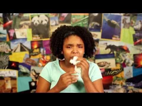 Learn about sneezing and blinking