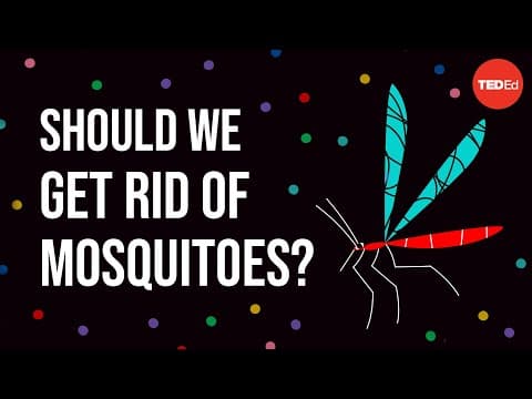 Ethical dilemma: Should we get rid of mosquitoes