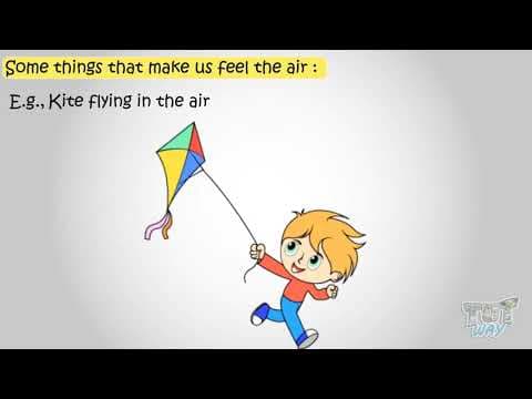 Composition of Air: Use & Importance of Air | Science