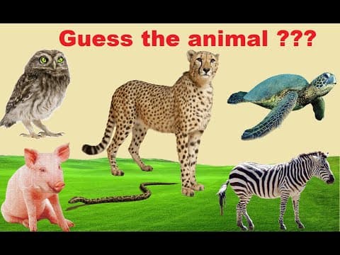 Guess the animal with clues part 3
