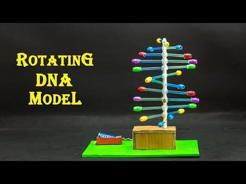 School Science Projects | Rotating DNA Model