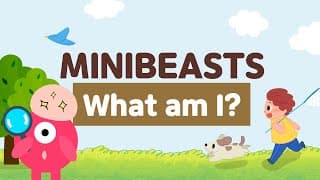 What am I | Minibeasts riddles | Quizzes for kids