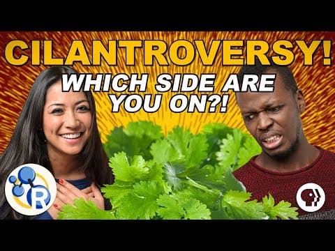 Why Do Some People Hate Cilantro? - YouTube