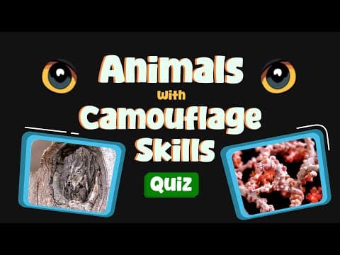 Animals with Camouflage Skills Quiz | Can You Spot Nature’s Tricksters?