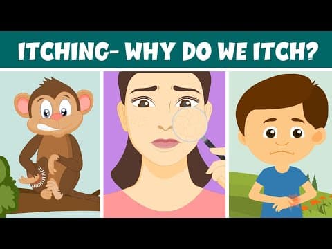 Itching- Why do we Itch? - Remedies and Treatment - Video for Kids