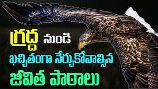 Attitude అంటే ఇలానే ఉండాలి|Power Of Attitude(Eagle Mentality)|Best Motivational Video in Telugu